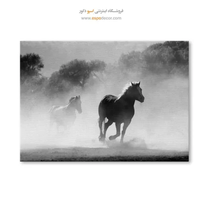 تابلو بوم با حس گرافیکی