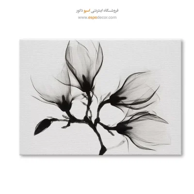 تابلو سیاه و سفید با خطوط منحنی