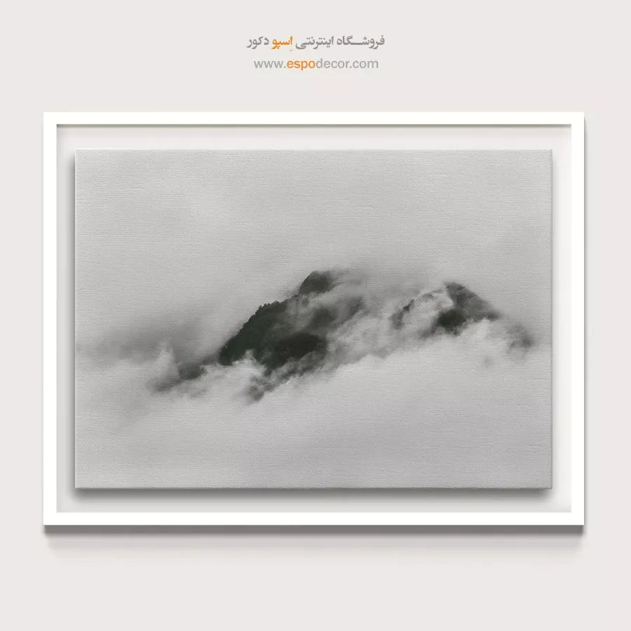 تابلو بوم سیاه و سفید بافتدار برای دکور مدرن