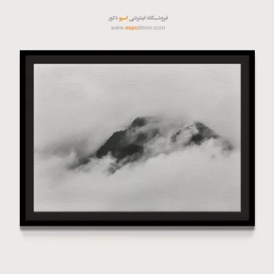 تابلو بوم سیاه و سفید بافتدار برای دکور مدرن
