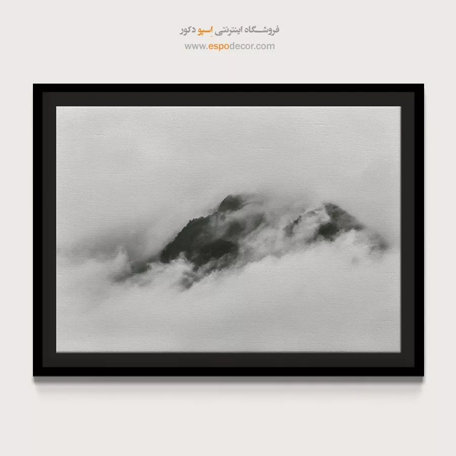 تابلو بوم سیاه و سفید بافتدار برای دکور مدرن
