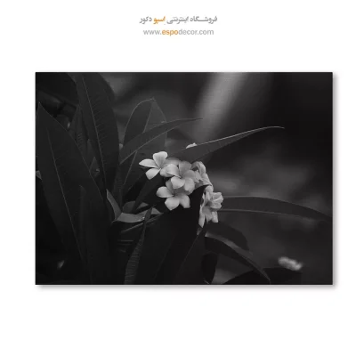 تابلو بوم نقاشی با الهام از انتزاع