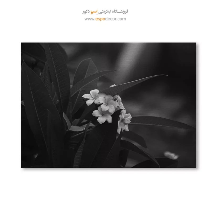 تابلو بوم نقاشی با الهام از انتزاع