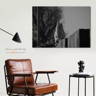 تابلو گربه سیاه و سفید - نگاهبان حصار – تابلو سیاه و سفید - اسپو دکور