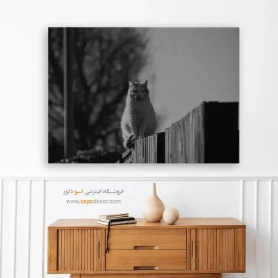 تابلو گربه سیاه و سفید - نگاهبان حصار – تابلو سیاه و سفید - اسپو دکور