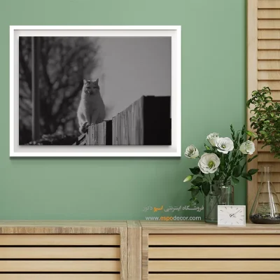 تابلو گربه سیاه و سفید - نگاهبان حصار – تابلو سیاه و سفید - اسپو دکور