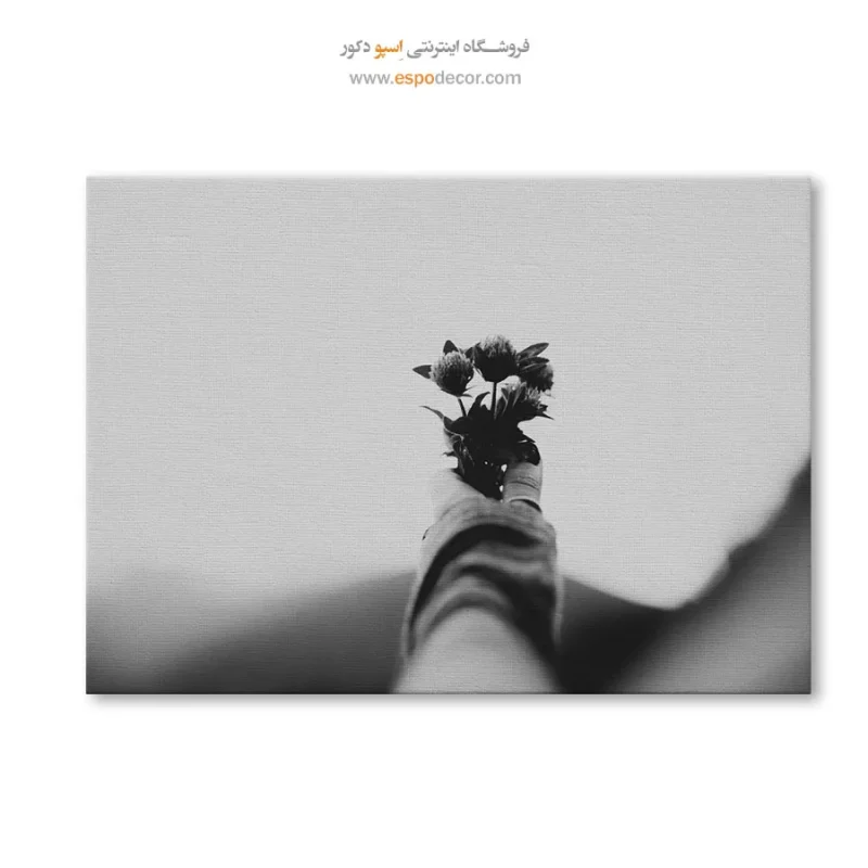 دکور سیاه و سفید