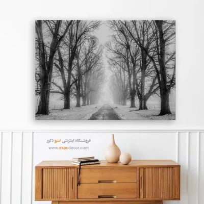 تابلو سیاه و سفید طبیعت زمستانی - سکوت زمستان – تابلو سیاه و سفید - اسپو دکور