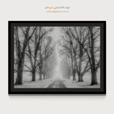 تابلو سیاه و سفید طبیعت زمستانی - سکوت زمستان – تابلو سیاه و سفید - اسپو دکور