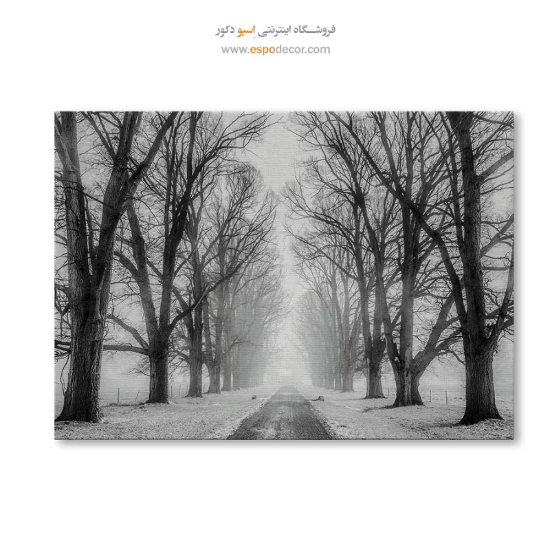 تابلو سیاه و سفید با الهام از طبیعت