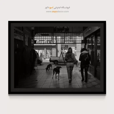 تابلو عکاسی خیابانی سیاه و سفید - سگ های شهر – تابلو سیاه و سفید - اسپو دکور