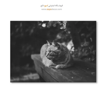 تابلو نقاشی سیاه و سفید برای گالری