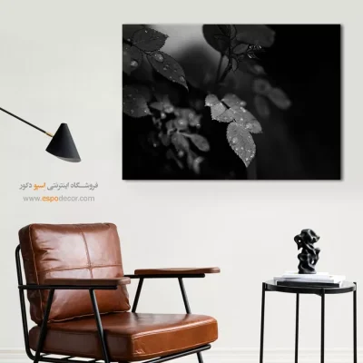 تابلو دیواری مدرن و شیک - اشک‌های طبیعت – تابلو سیاه و سفید - اسپو دکور