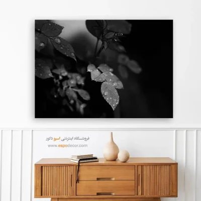 تابلو دیواری مدرن و شیک - اشک‌های طبیعت – تابلو سیاه و سفید - اسپو دکور