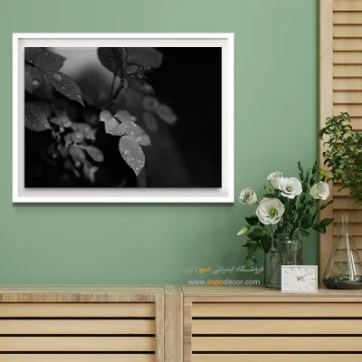 تابلو دیواری مدرن و شیک - اشک‌های طبیعت – تابلو سیاه و سفید - اسپو دکور