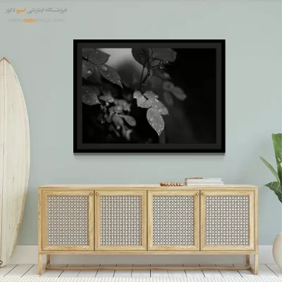 تابلو دیواری مدرن و شیک - اشک‌های طبیعت – تابلو سیاه و سفید - اسپو دکور