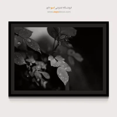 تابلو دیواری مدرن و شیک - اشک‌های طبیعت – تابلو سیاه و سفید - اسپو دکور