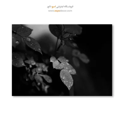 تابلو دیواری مدرن و شیک