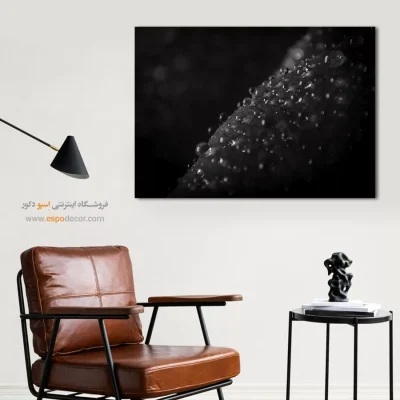 خرید تابلو سیاه و سفید دکوراسیون - الماسهای خفته – تابلو سیاه و سفید - اسپو دکور