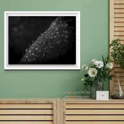 خرید تابلو سیاه و سفید دکوراسیون - الماسهای خفته – تابلو سیاه و سفید - اسپو دکور