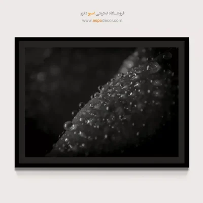 خرید تابلو سیاه و سفید دکوراسیون - الماسهای خفته – تابلو سیاه و سفید - اسپو دکور