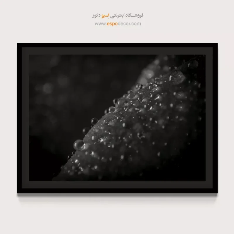 خرید تابلو سیاه و سفید دکوراسیون