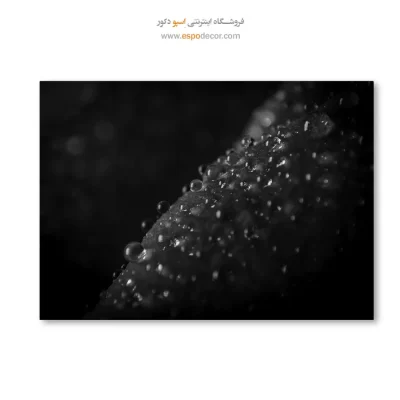 خرید تابلو سیاه و سفید دکوراسیون