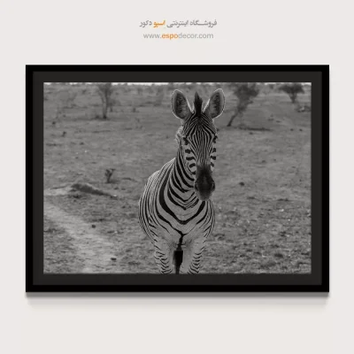 هویت – تابلو سیاه و سفید - تابلو بوم سیاه و سفید شیک - اسپو دکور