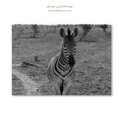 هویت – تابلو سیاه و سفید - تابلو بوم سیاه و سفید شیک - اسپو دکور
