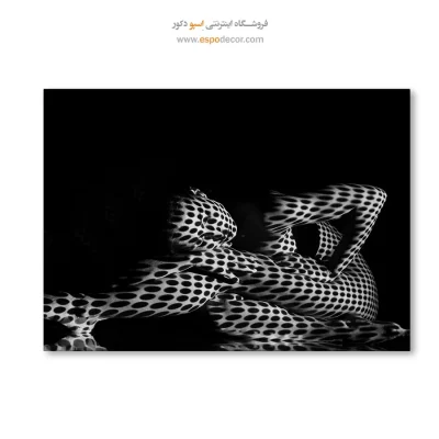 تابلو دیواری سیاه و سفید شیک