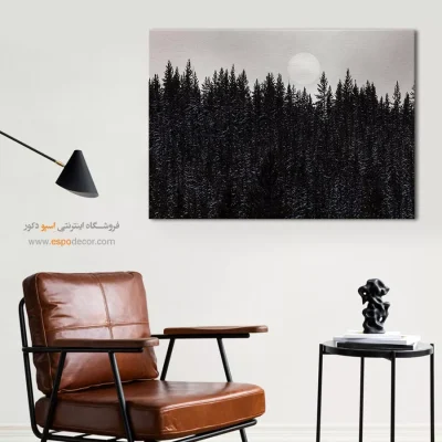 قیمت تابلو سیاه و سفید دکوراسیون