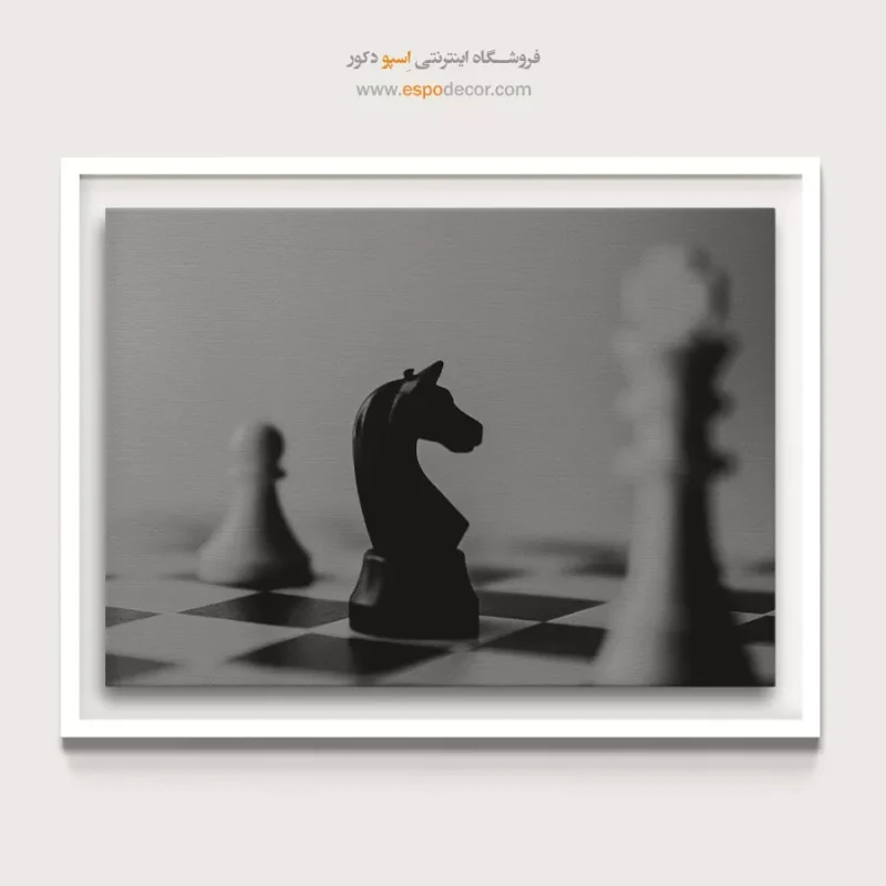 خرید تابلو سیاه و سفید لوکس
