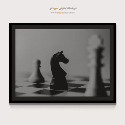 خرید تابلو سیاه و سفید لوکس