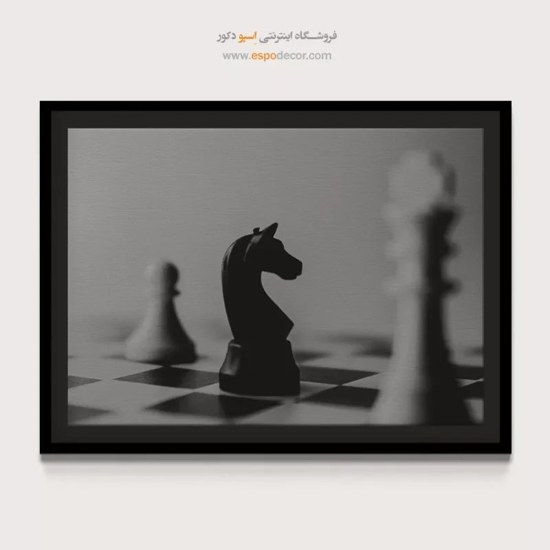 خرید تابلو سیاه و سفید لوکس