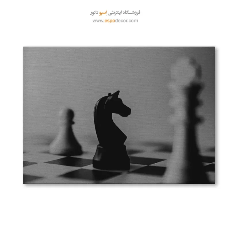 خرید تابلو سیاه و سفید لوکس