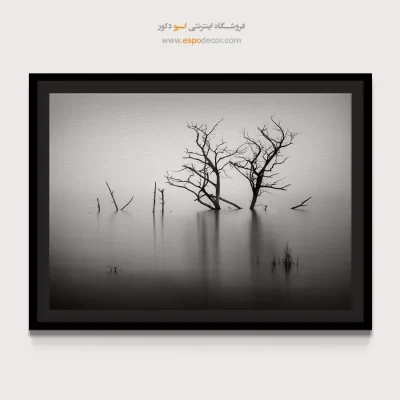 تابلو سیاه و سفید مخصوص پذیرایی