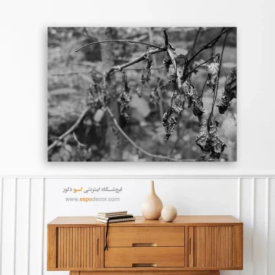 خرید تابلو بوم اتاق خواب سیاه و سفید - پایان تابستان – تابلو سیاه و سفید - اسپو دکور
