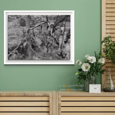 خرید تابلو بوم اتاق خواب سیاه و سفید - پایان تابستان – تابلو سیاه و سفید - اسپو دکور