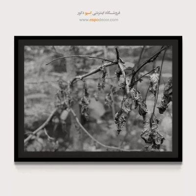 خرید تابلو بوم اتاق خواب سیاه و سفید - پایان تابستان – تابلو سیاه و سفید - اسپو دکور