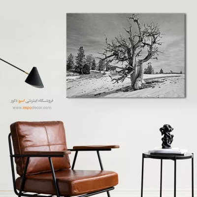 خرید تابلو بوم مینیمال هدیه - استاد استقامت – تابلو سیاه و سفید - اسپو دکور
