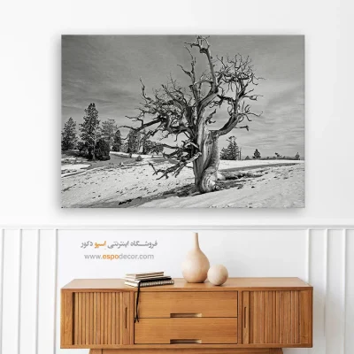 خرید تابلو بوم مینیمال هدیه - استاد استقامت – تابلو سیاه و سفید - اسپو دکور