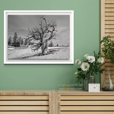 خرید تابلو بوم مینیمال هدیه - استاد استقامت – تابلو سیاه و سفید - اسپو دکور