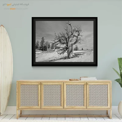 خرید تابلو بوم مینیمال هدیه - استاد استقامت – تابلو سیاه و سفید - اسپو دکور