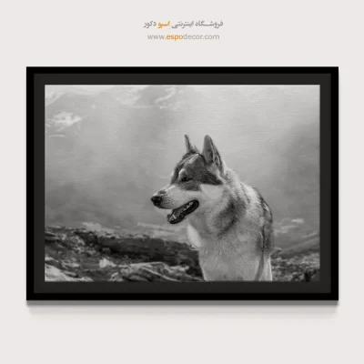 تابلو بوم سیاه و سفید برای دکوراسیون - گرگ کوهستان – تابلو سیاه و سفید - اسپو دکور