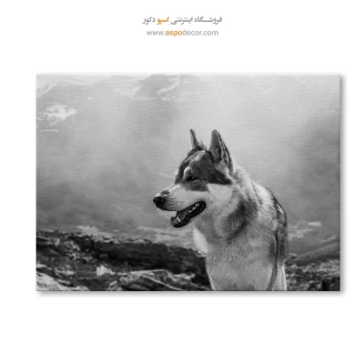 تابلو بوم سیاه و سفید برای دکوراسیون