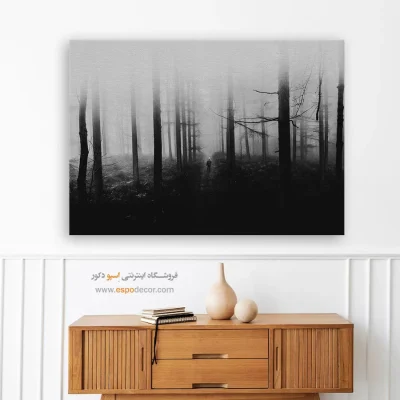 تابلو بوم دیواری سیاه و سفید برای هدیه - تنها در جنگل – تابلو سیاه و سفید - اسپو دکور