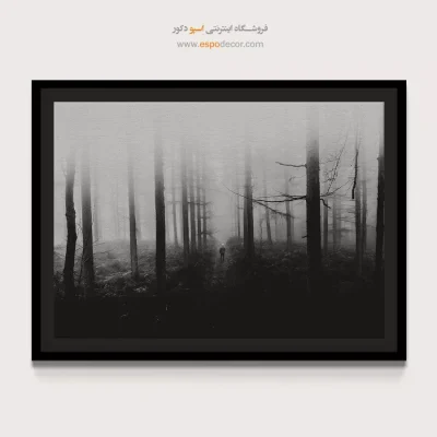تابلو بوم دیواری سیاه و سفید برای هدیه - تنها در جنگل – تابلو سیاه و سفید - اسپو دکور