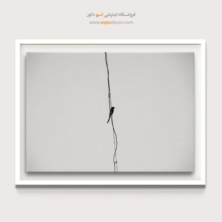 تابلو عکس مینیمالیسم - رهایی – تابلو سیاه و سفید - اسپو دکور