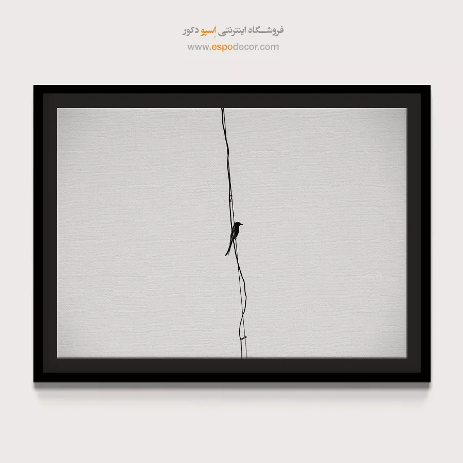 تابلو عکس مینیمالیسم - رهایی – تابلو سیاه و سفید - اسپو دکور