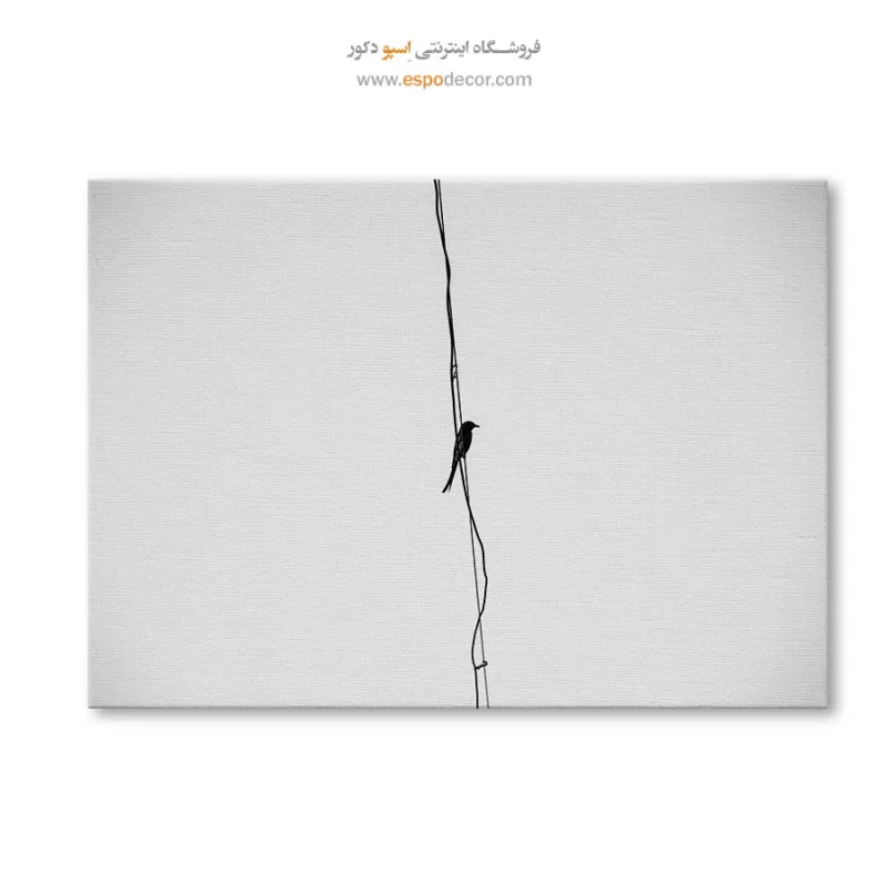 قیمت تابلو دیواری سیاه و سفید شیک
